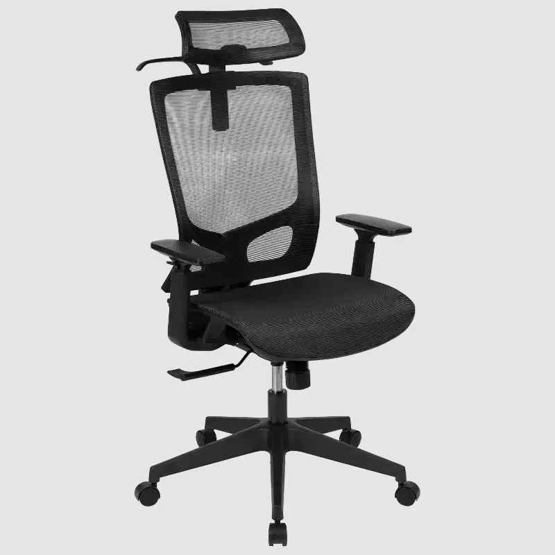 Ergonomic Mesh Office Chair with Synchro - Tilt, Pivot Adjustable Headrest, Lumbar Support, Coat Hanger and Adjustable Arms